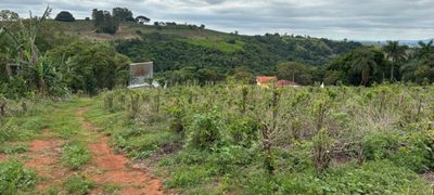 Chácara, 1 quarto, 12 hectares - Foto 4