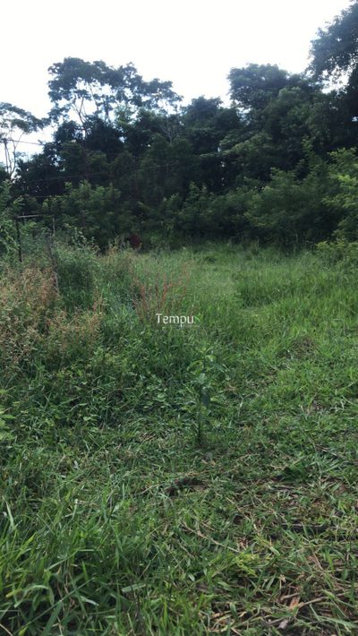 Chácara, 1 hectares - Foto 2