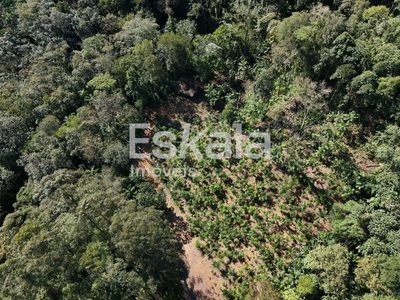 Terreno, 3 hectares - Foto 2