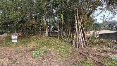 Terreno, 384 m² - Foto 2