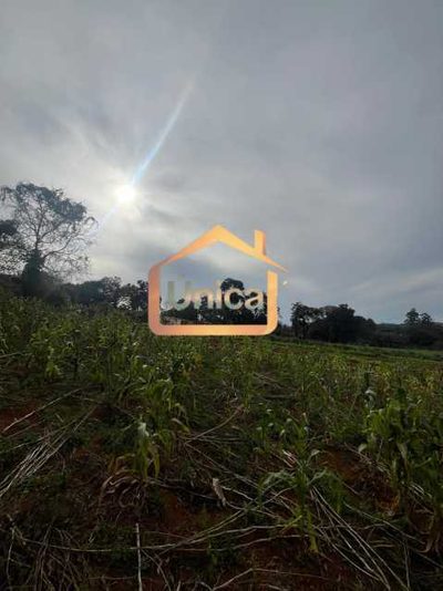 Terreno, 1 hectares - Foto 1