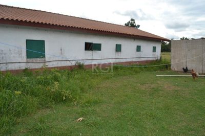 Sítio, 3 quartos, 6 hectares - Foto 2