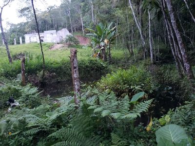 Casa, 5000 m² - Foto 4