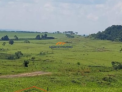 Fazenda, 1258 hectares - Foto 2