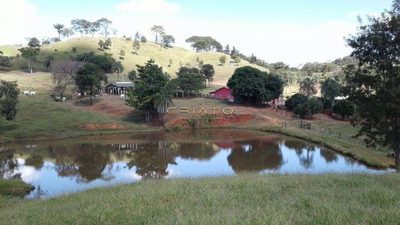 Fazenda, 8 hectares - Foto 4