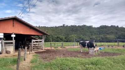 Fazenda, 114 hectares - Foto 2