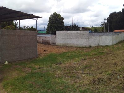 Depósito-Galpão - Foto 2