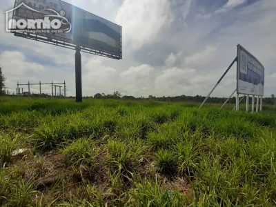 Casa, 200000 m² - Foto 3