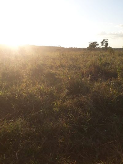 Fazenda, 273 m² - Foto 3