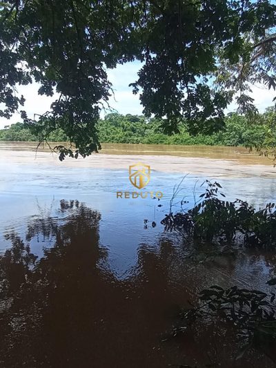 Fazenda - Foto 2