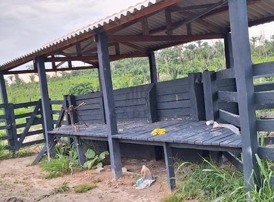 Fazenda - Foto 4