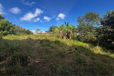 Terreno, 1000 m² - Foto 2