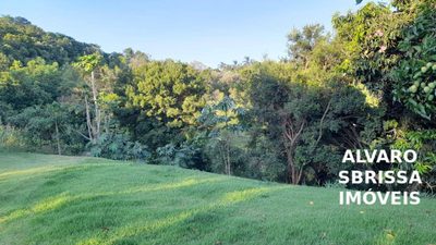 Chácara, 5 quartos, 2 hectares - Foto 3