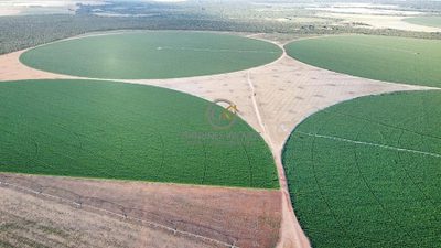 Fazenda, 956 hectares - Foto 1