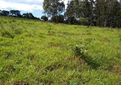 Chácara, 1 quarto, 251 hectares - Foto 3