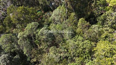 Terreno, 1225 m² - Foto 4