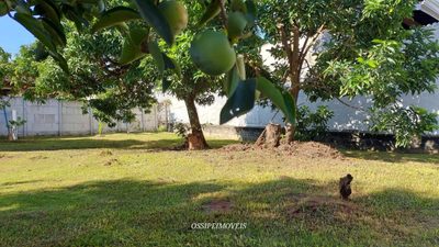 Terreno, 500 m² - Foto 1