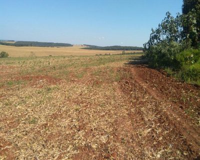 Fazenda, 623 m² - Foto 2