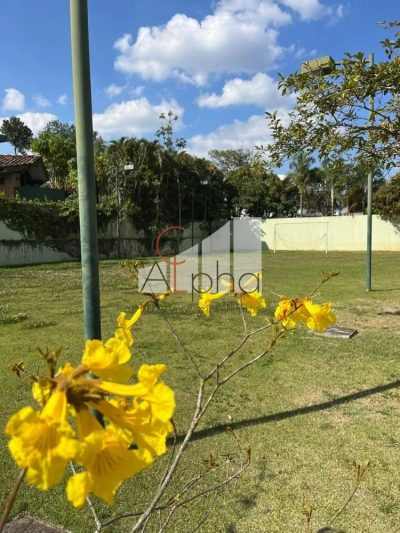 Sobrado, 4 quartos, 800 m² - Foto 3