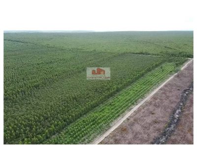 Fazenda, 2840 m² - Foto 4