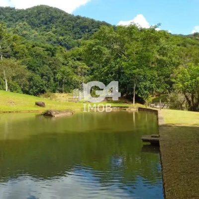 Fazenda, 106 hectares - Foto 4
