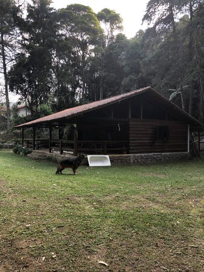 Terreno, 180 hectares - Foto 5