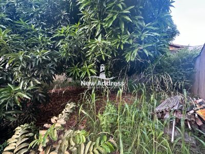 Terreno, 250 m² - Foto 3