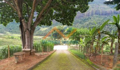 Fazenda, 6 quartos - Foto 4