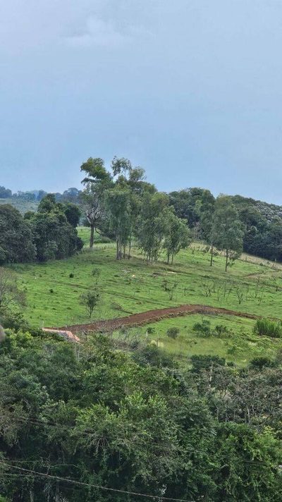 Terreno, 1000 m² - Foto 4