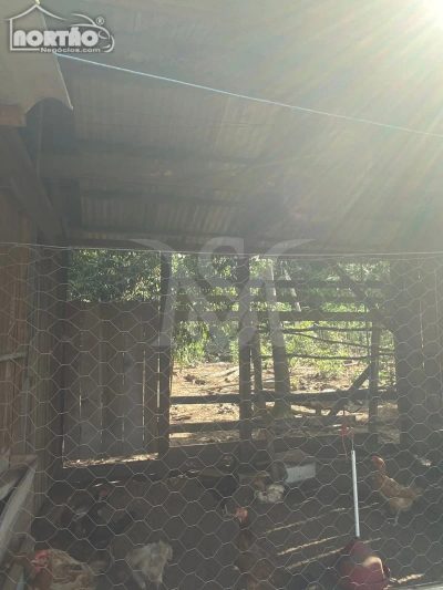 Casa, 5000 m² - Foto 5