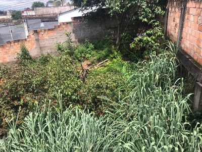 Terreno, 360 m² - Foto 5