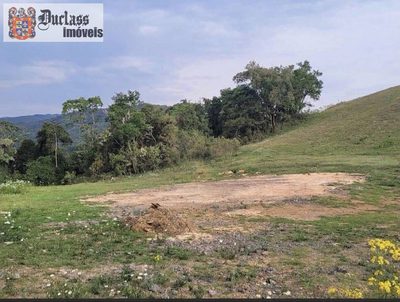 Terreno, 1000 m² - Foto 3