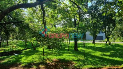 Terreno, 663 m² - Foto 5