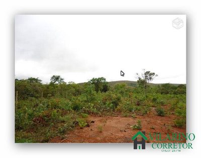 Terreno, 10000 m² - Foto 4