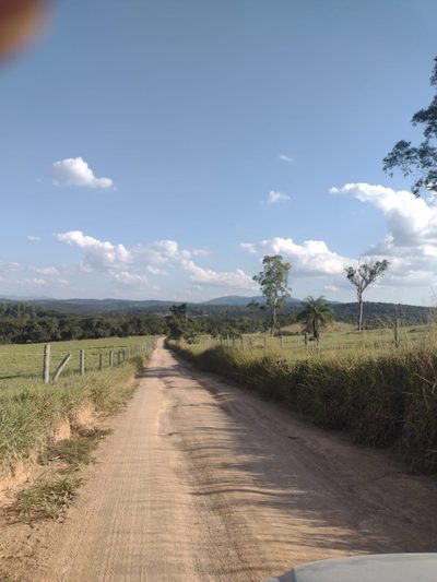 Terreno - Foto 4