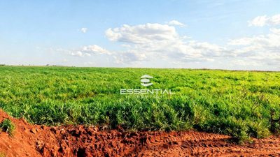 Fazenda, 1143 hectares - Foto 1