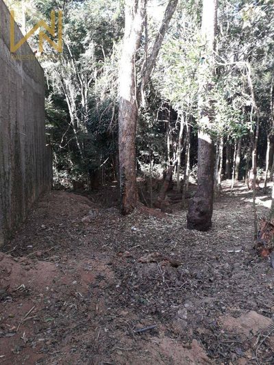 Terreno, 1000 m² - Foto 2
