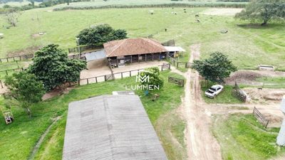 Fazenda - Foto 4