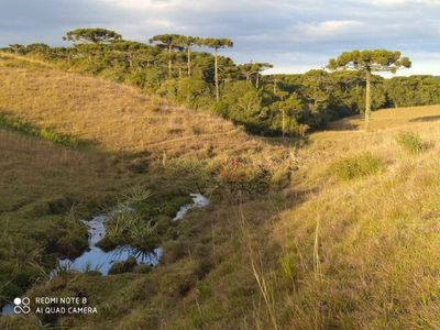 Sítio, 2 quartos, 18 hectares - Foto 2