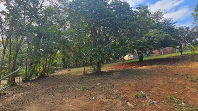 Fazenda, 3 hectares - Foto 5