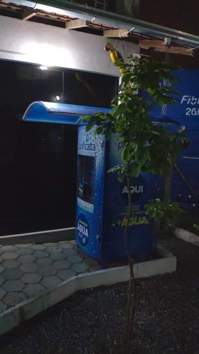 Apartamento, 2 quartos, 51 m² - Foto 3