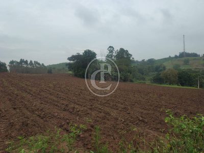 Terreno, 3 hectares - Foto 3