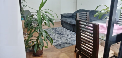 Apartamento, 3 quartos, 66 m² - Foto 4
