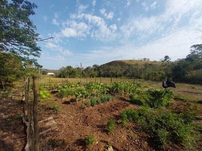 Fazenda, 200 m² - Foto 5