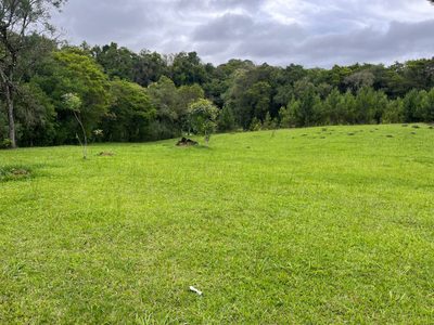 Chácara, 3 quartos, 2 hectares - Foto 3
