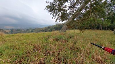 Terreno, 9200 m² - Foto 2