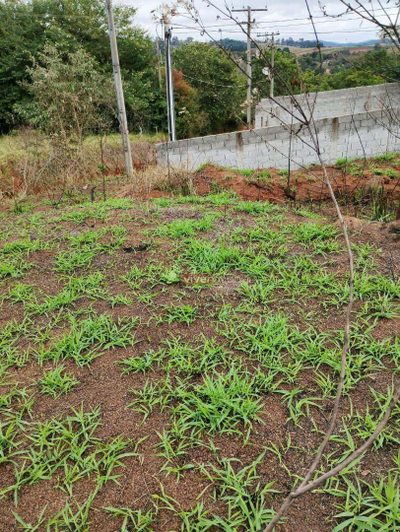Terreno, 2062 m² - Foto 5