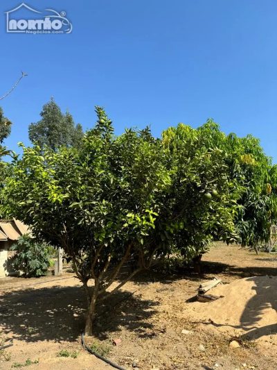 Casa, 120 m² - Foto 5
