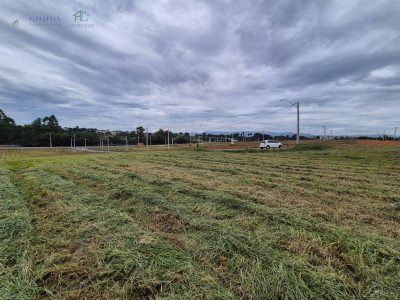 Terreno, 250 m² - Foto 5
