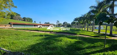 Chácara, 4 quartos, 24 hectares - Foto 2